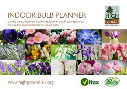 Charity partner shares indoor bulb planner guide